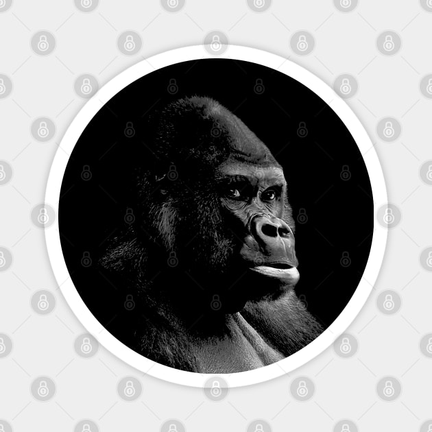 Gorilla Portrait Art Magnet by Webdango